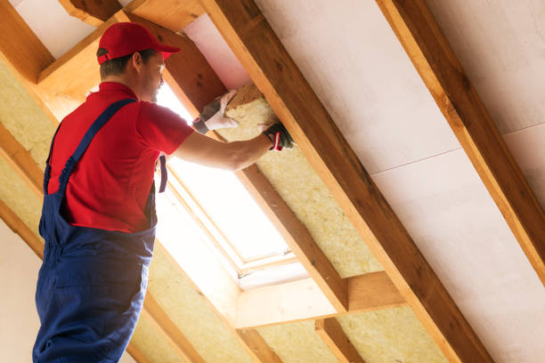 Best Insulation Air Sealing  in Newberry, MI